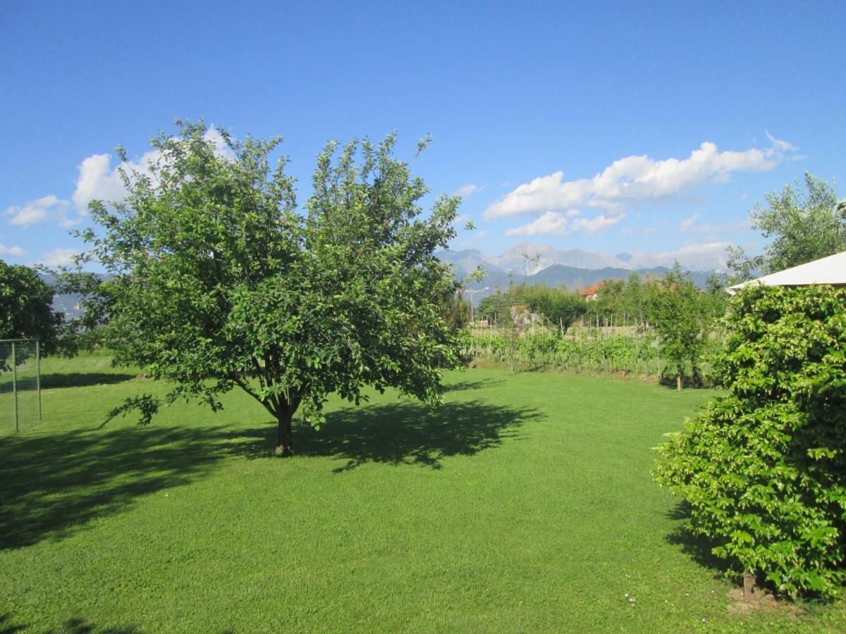 Casa Margubbio Villa Амеля Екстериор снимка