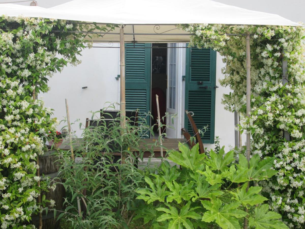 Casa Margubbio Villa Амеля Екстериор снимка