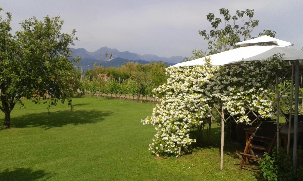 Casa Margubbio Villa Амеля Екстериор снимка